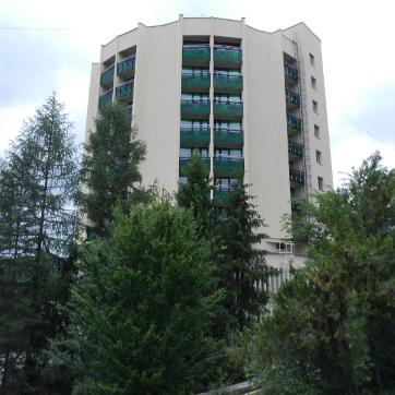 Ferestre si usi din lemn stratificat